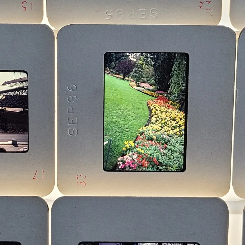 Lot of 33 Slides British Columbia Canada Tourist Scenic Photos People 1986 Lot 4